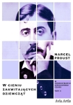 ebook: W Cieniu Zakwitających Dziewcząt - Marcel Proust