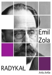 ebook: Radykał - Emil Zola